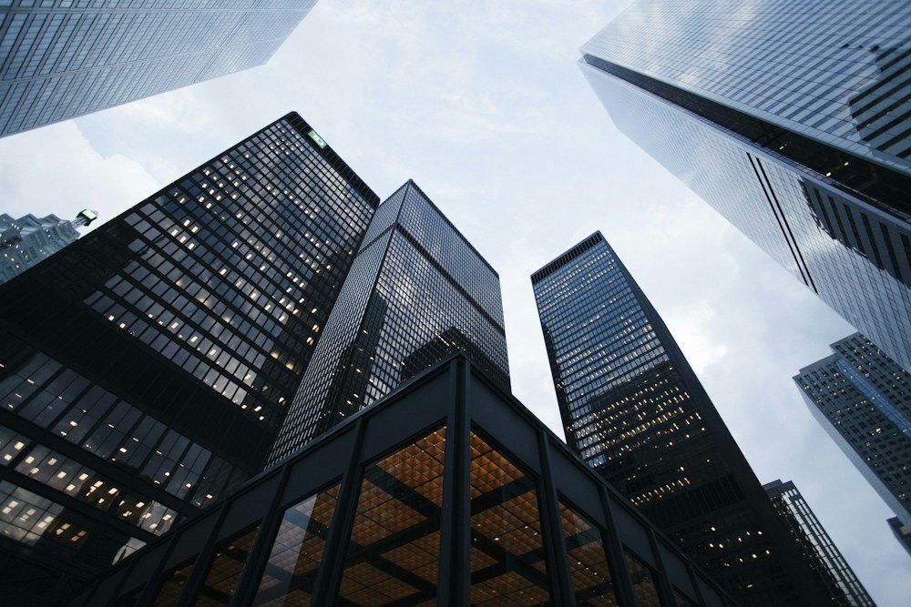 Modern glass office towers viewed from street level